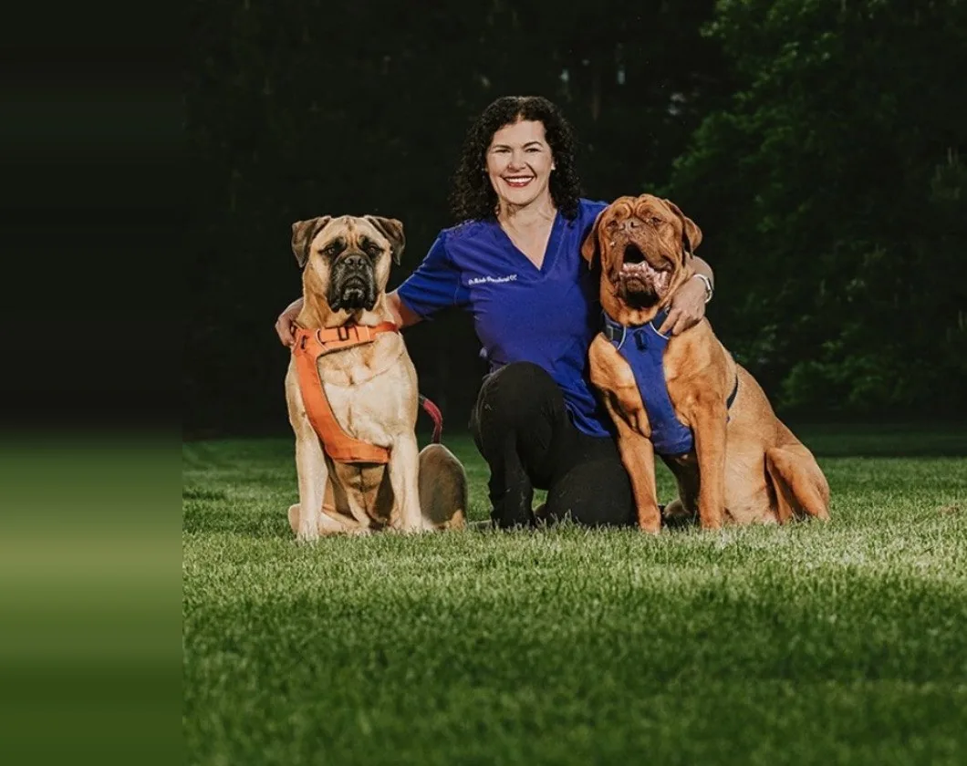 Dr. Michele Broadhurst kneeling on grass between two large dogs, a bullmastiff in an orange support harness and a Dogue de Bordeaux in a blue one