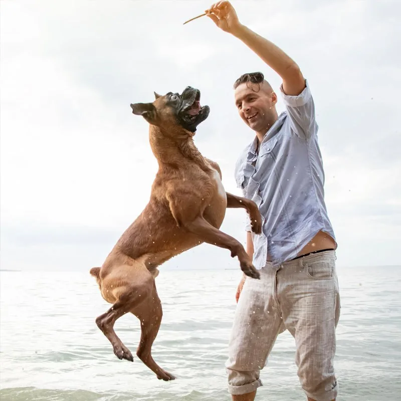 A dog leaping in the air on a beach