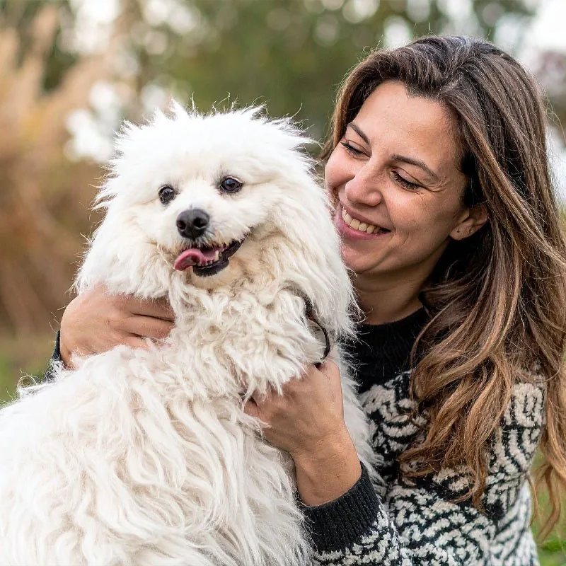 A small dog being carried carefully in someone's arms