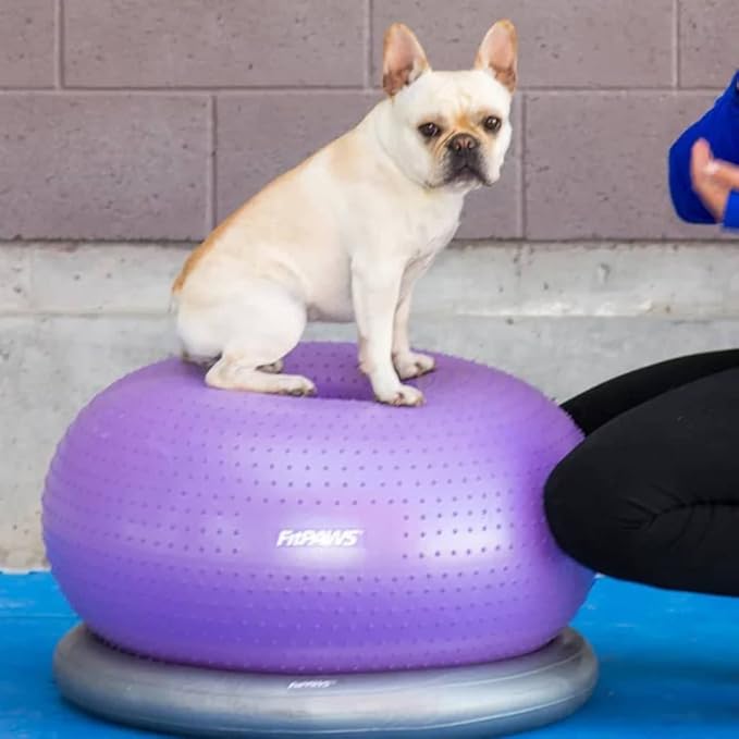 51I1AFhgyL. AC SX679