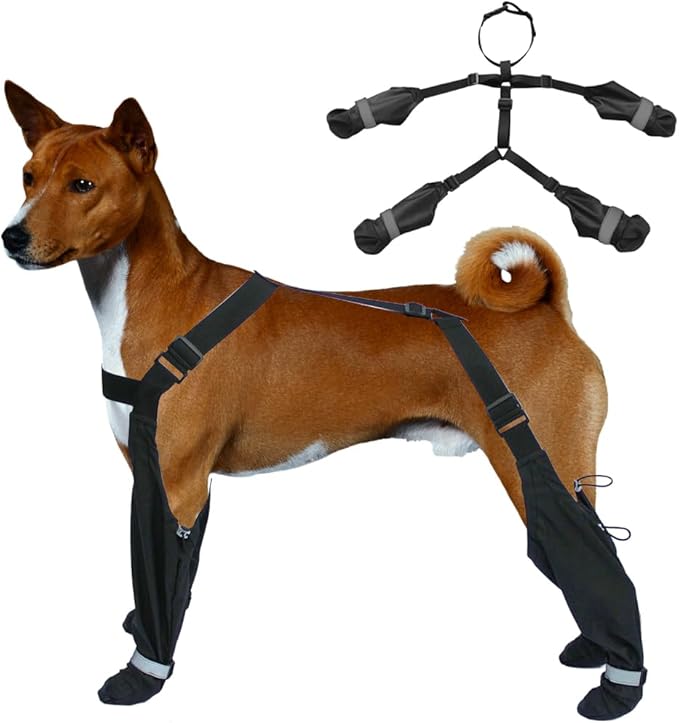 51ml1B440DL. AC SX679