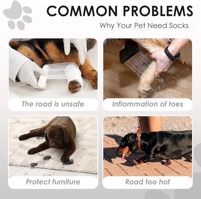 61OUQ7SDm8L. AC SX679