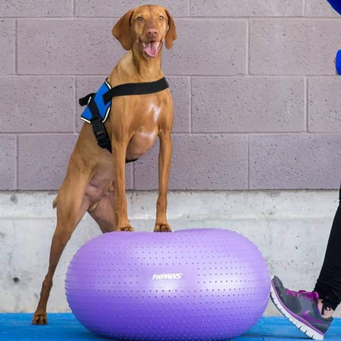 Donut Exercise Ball