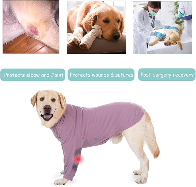 710p7Ktwh3L. AC SX679