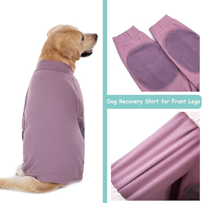 71NgT4PbvcL. AC SX679