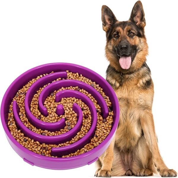 Slow Feeder Pet Bowl