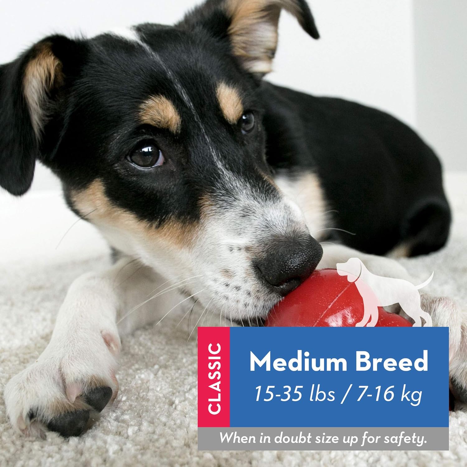 818kd1pwuCL. AC SL1500