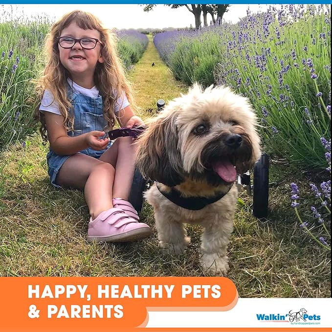 91eKDd FqFL. AC SX679