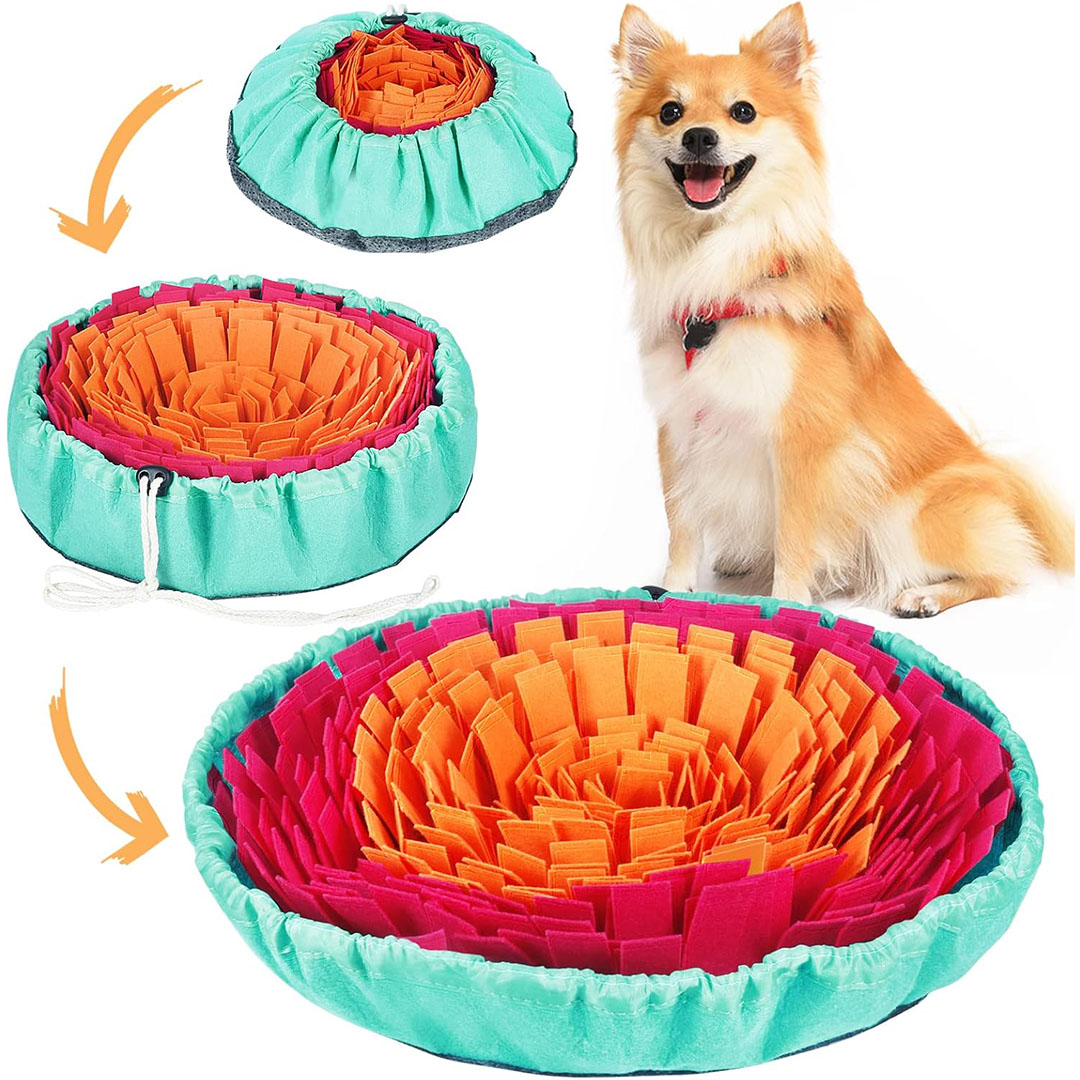Rehab 4 Pets Mat