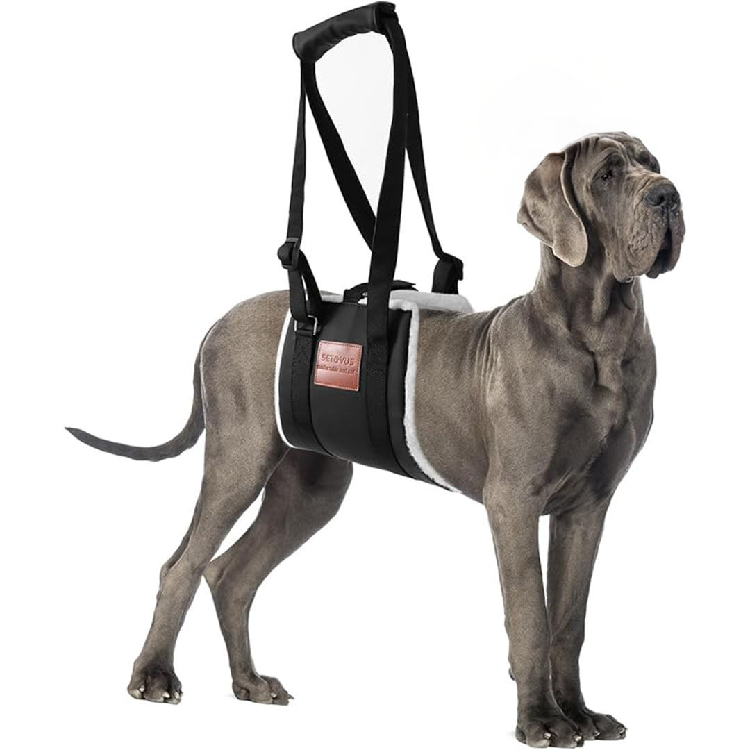 Rehab 4 Pets Sling for Back Legs