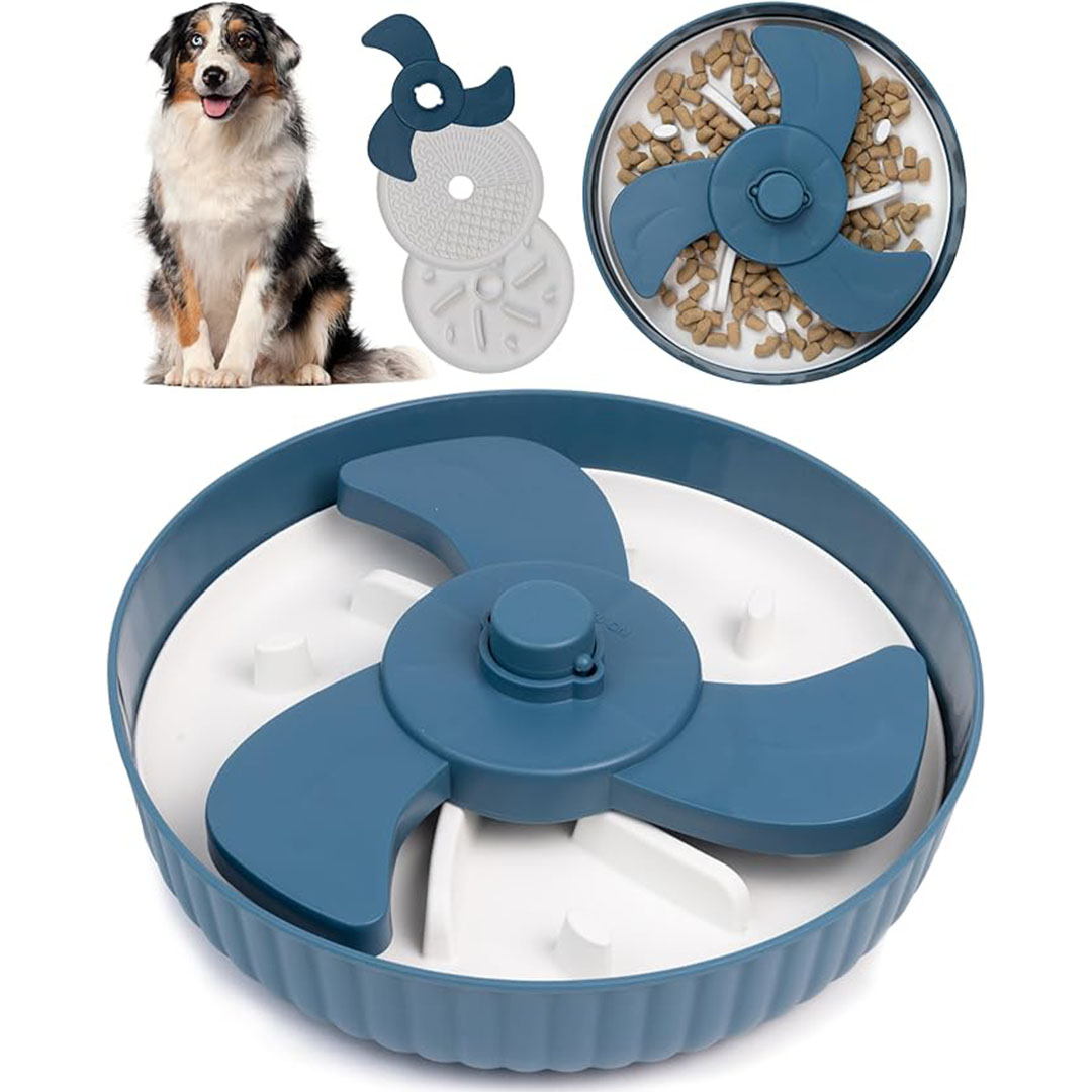 Rehab 4 Pets Spiny Bowl