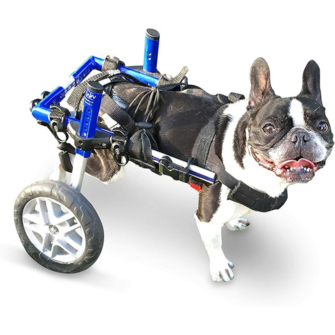 Rehab 4 Pets Wheelchair