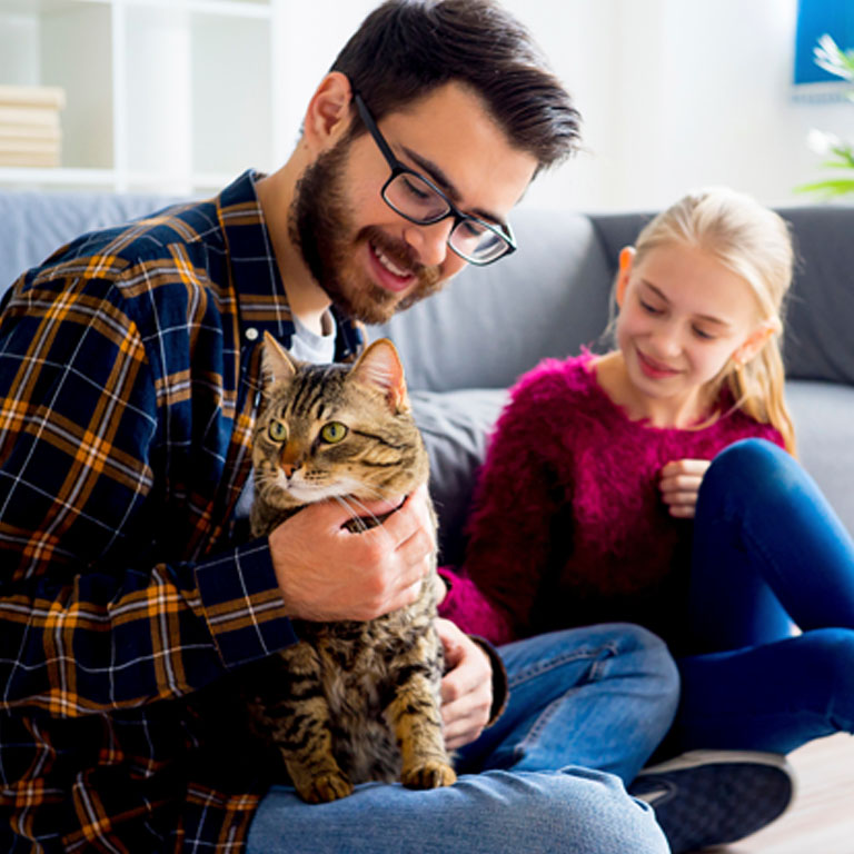 rehab 4 cats first visit