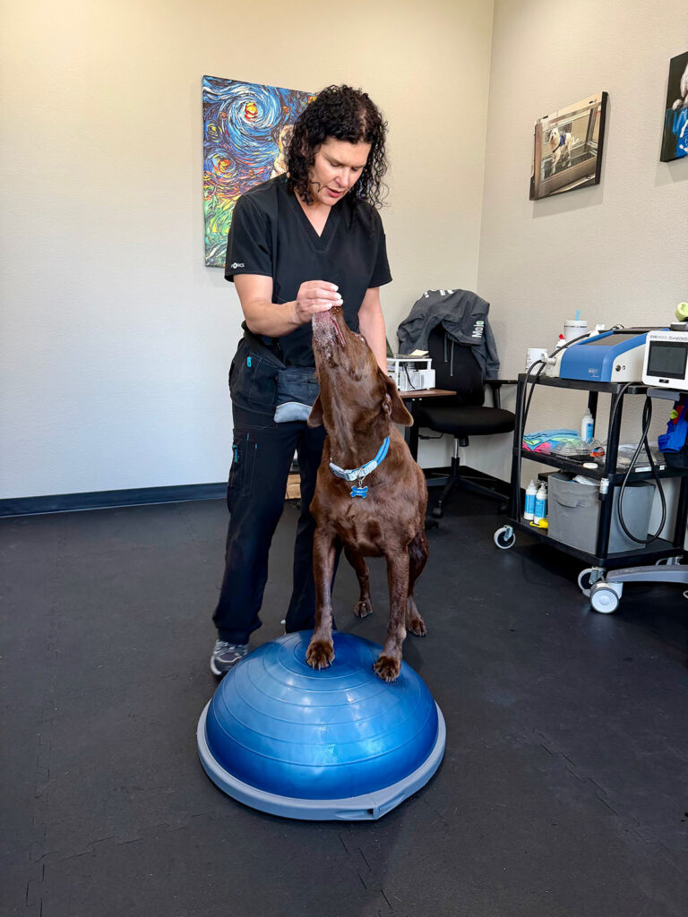 Rehabilitation Exercises